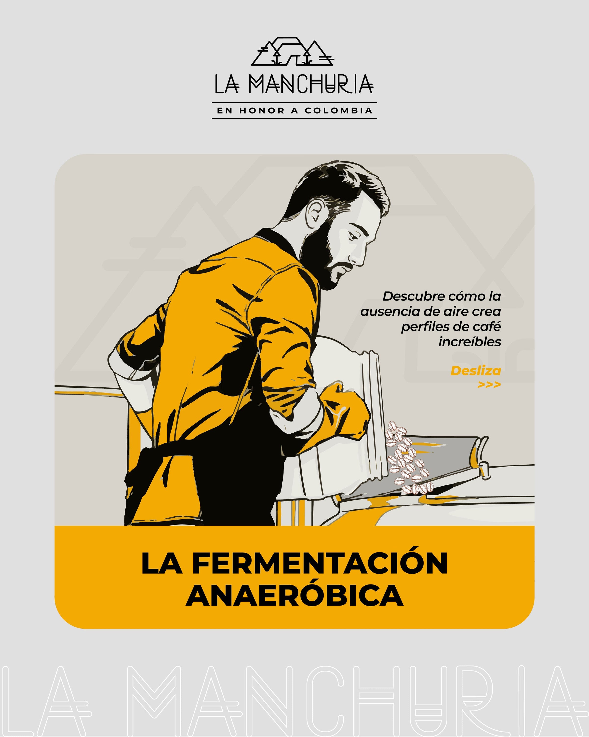 La Fermetación Anaeróbica