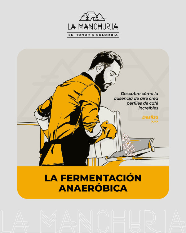La Fermetación Anaeróbica