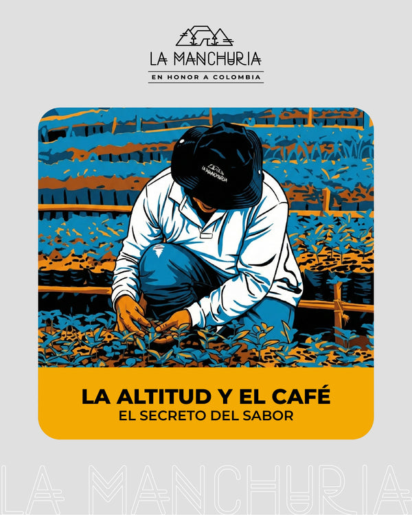 La Altitud En El Café