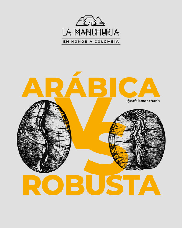Arábica Vs Robusta