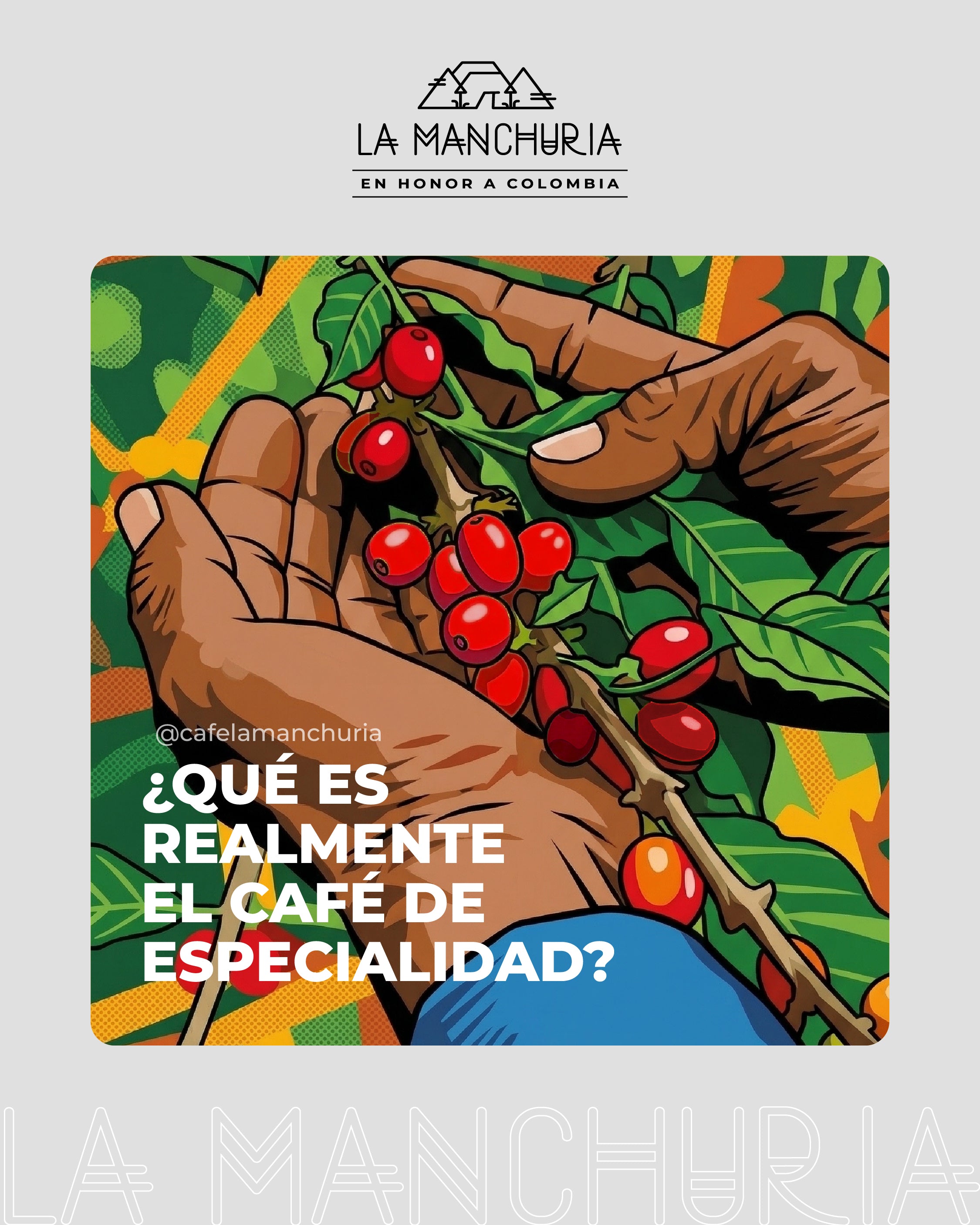 What Exactly Is Specialty Coffee