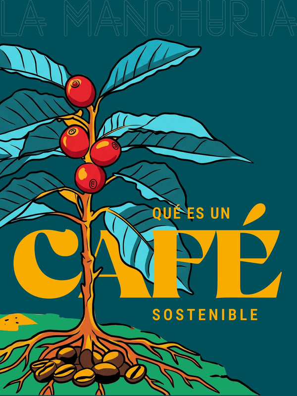 ¿Qué Es Un Café Sostenible?