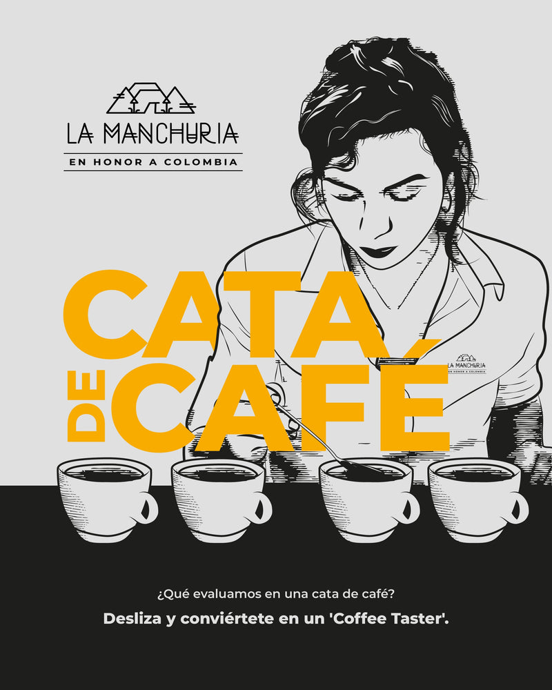 Cata de Café 