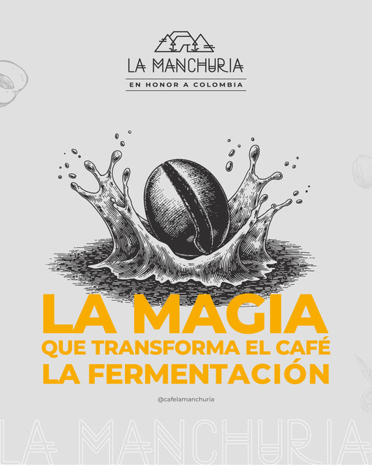La Fermentación   