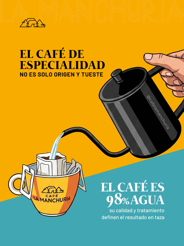 The Importance of Water in Coffee