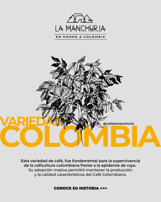 Variedad Colombia