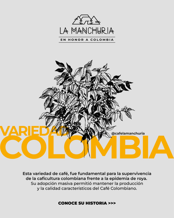 Colombia Variety