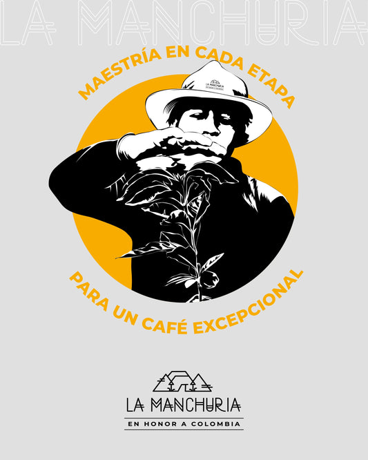 maestria cafetera