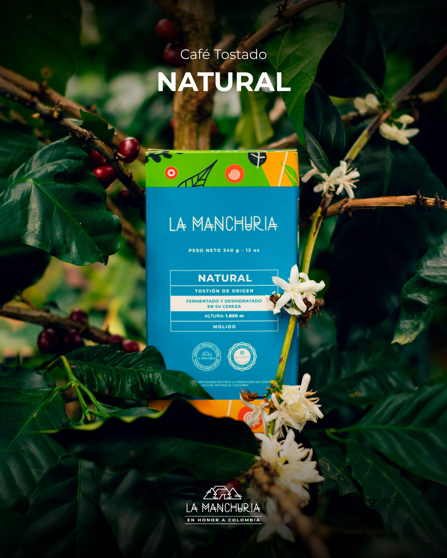 CAFÉ NATURAL