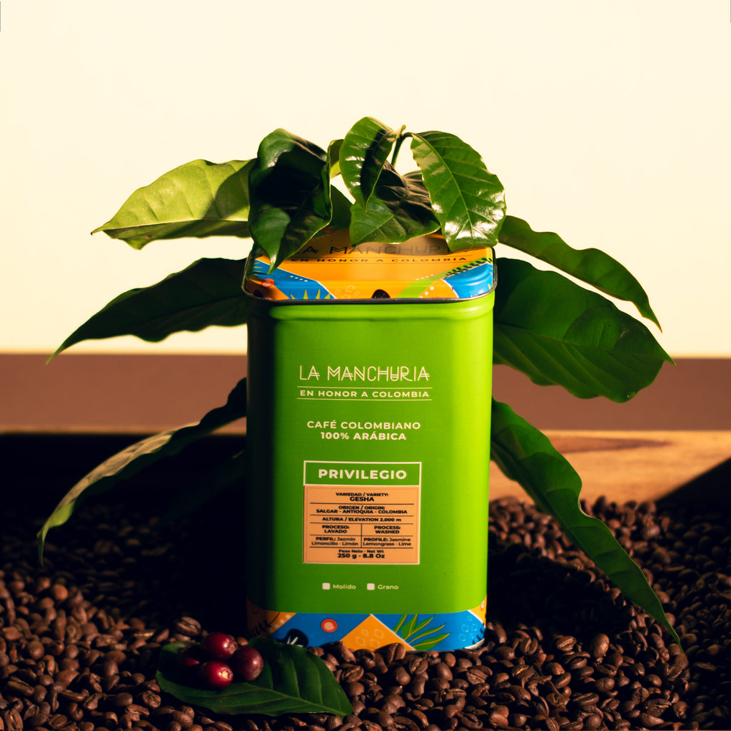 CAFÉ GESHA CAJA METÁLICA - PRIVILEGIO